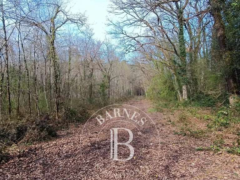 Maison Salbris - 4 chambres - 550m²