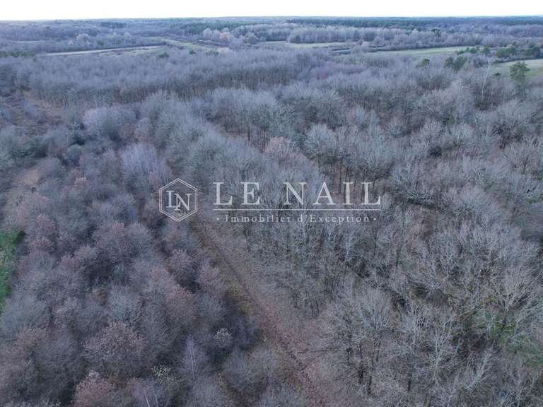 House Salbris - 5 bedrooms - 250m²