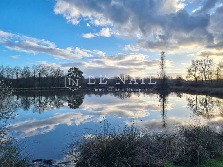 House Salbris - 5 bedrooms - 250m²