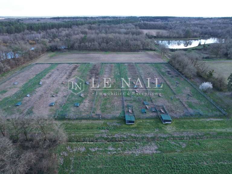 House Salbris - 5 bedrooms - 250m²