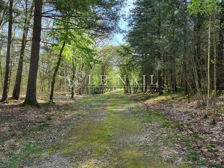 Propriété Salbris - 12 chambres - 520m²