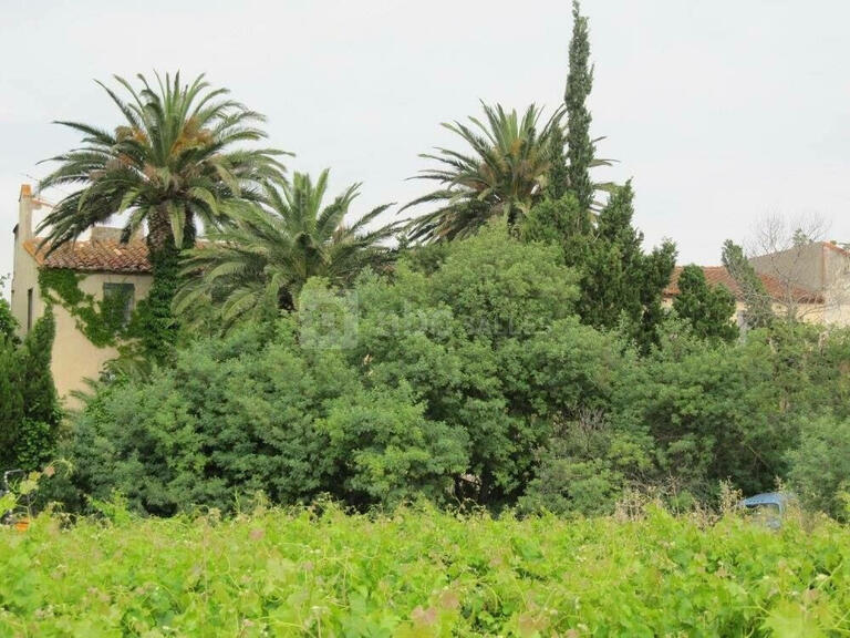 Maison Saleilles - 500m²