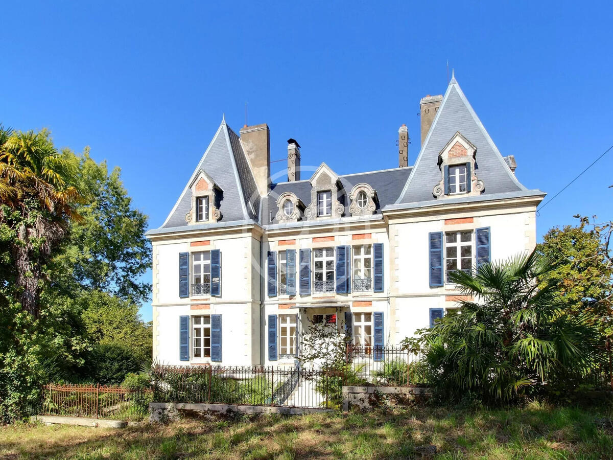 Castle Salies-de-Béarn