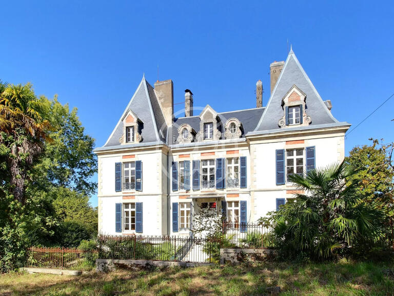 Vente Château Salies-de-Béarn - 8 chambres