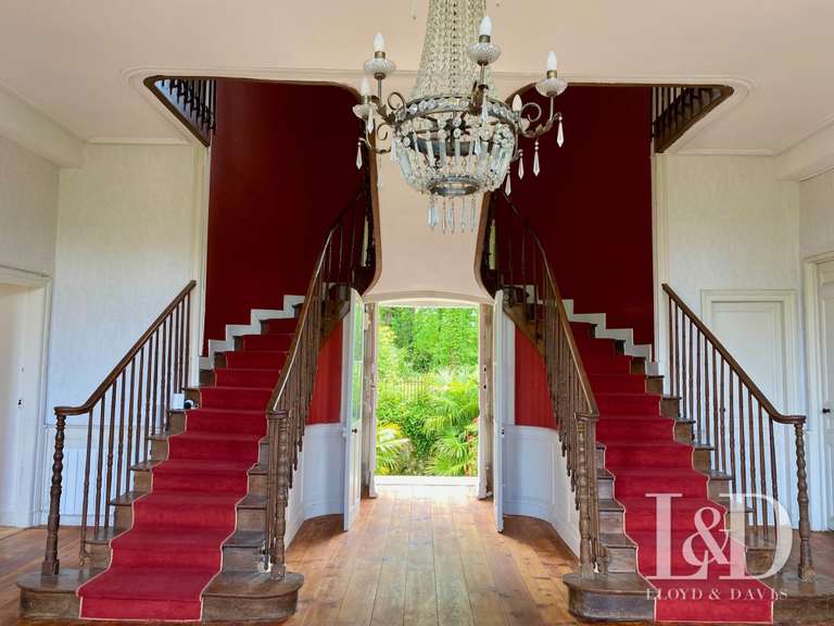 Château Salies-de-Béarn - 8 chambres - 520m²