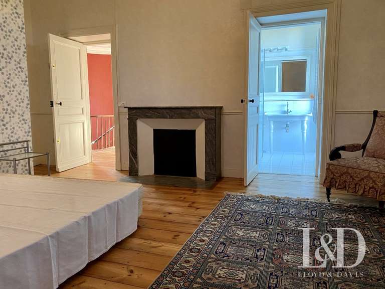 Château Salies-de-Béarn - 8 chambres - 520m²