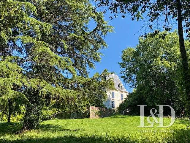 Château Salies-de-Béarn - 8 chambres - 520m²