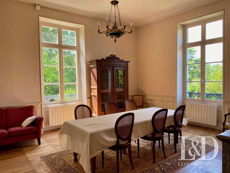 Château Salies-de-Béarn - 8 chambres - 520m²