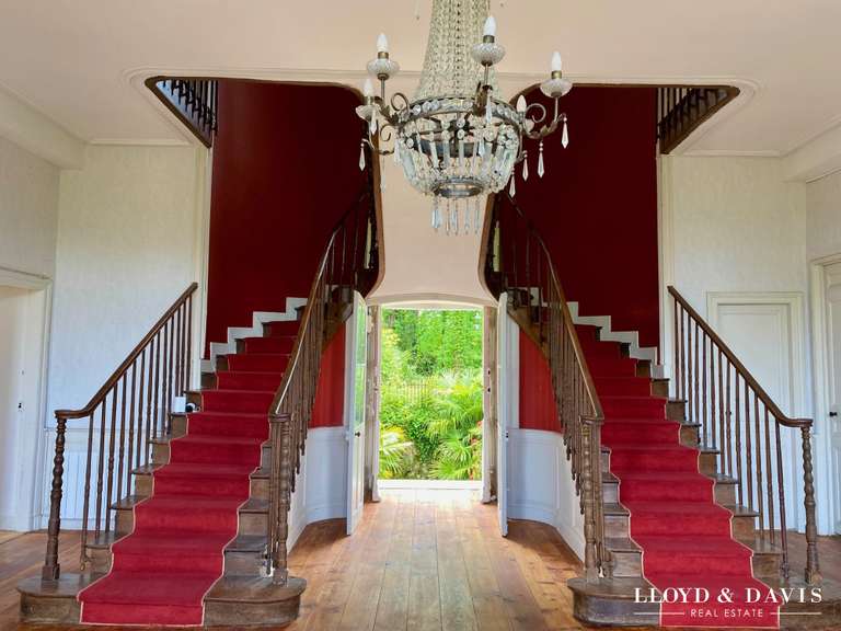 Château Salies-de-Béarn - 8 chambres - 520m²