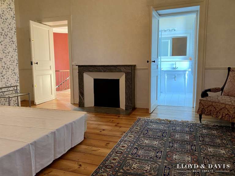 Château Salies-de-Béarn - 8 chambres - 520m²