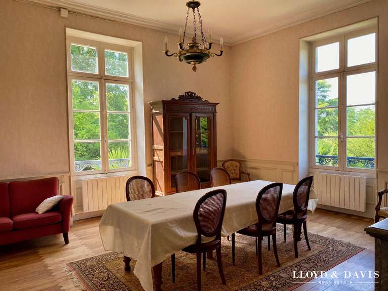 Château Salies-de-Béarn - 8 chambres - 520m²