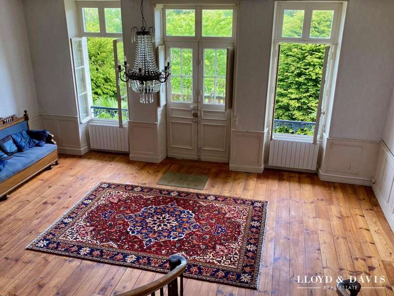 Château Salies-de-Béarn - 8 chambres - 520m²