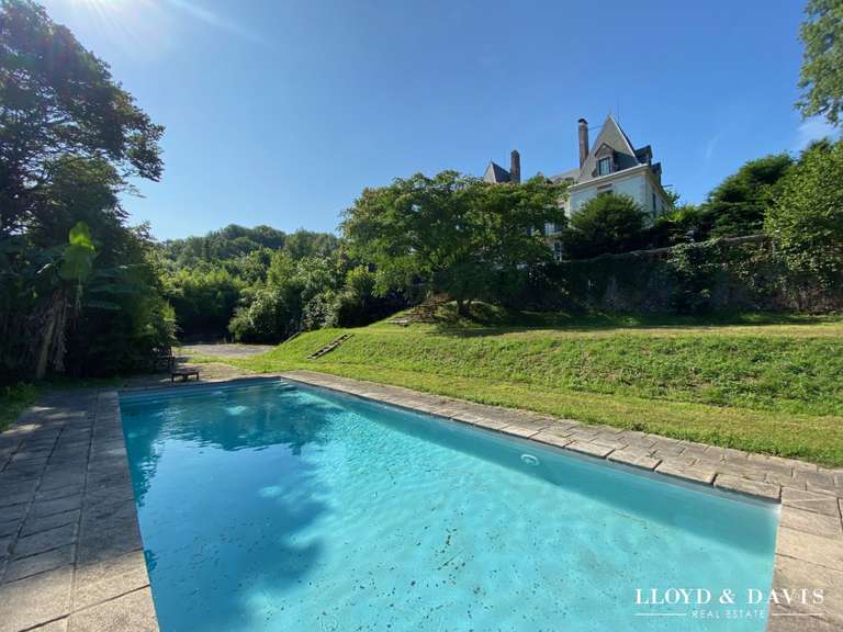Château Salies-de-Béarn - 8 chambres - 520m²