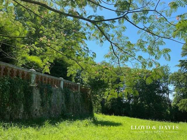 Château Salies-de-Béarn - 8 chambres - 520m²