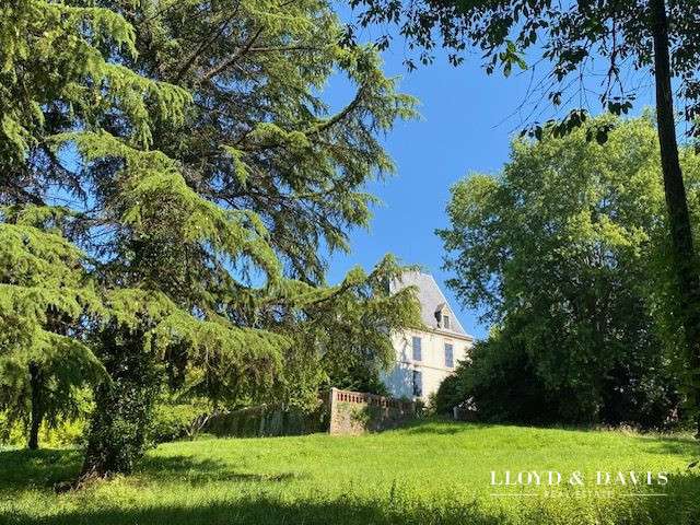 Château Salies-de-Béarn - 8 chambres - 520m²