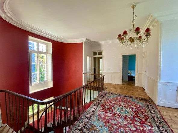 Château Salies-de-Béarn - 8 chambres - 520m²