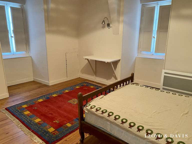 Château Salies-de-Béarn - 8 chambres - 520m²