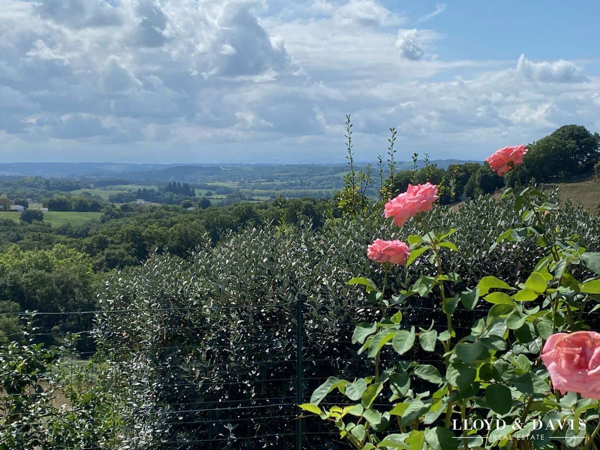 House Salies-de-Béarn