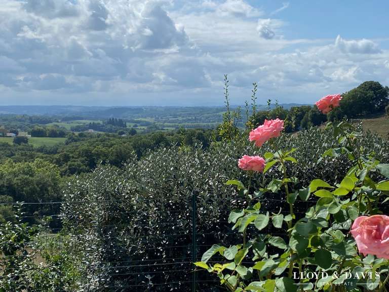 House Salies-de-Béarn - 5 bedrooms - 162m²