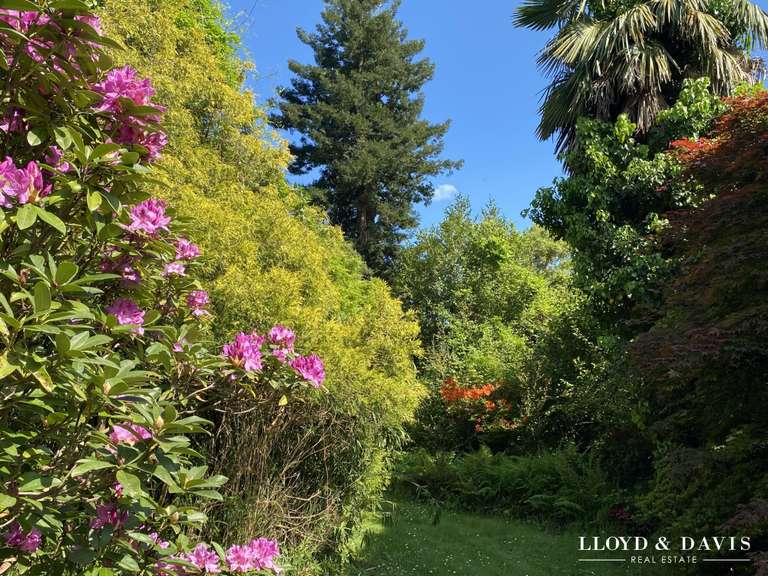 Maison Salies-de-Béarn - 14 chambres - 500m²