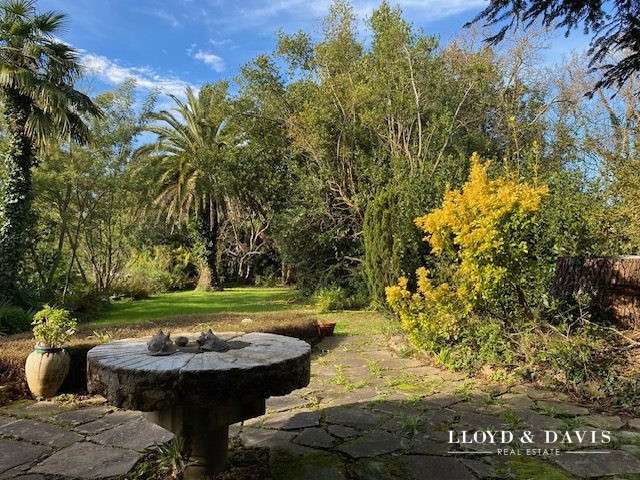 Maison Salies-de-Béarn - 14 chambres - 500m²