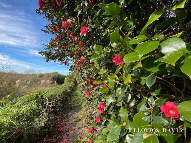 Maison Salies-de-Béarn