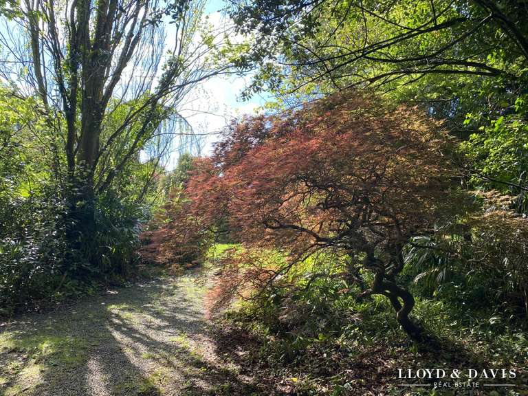 Maison Salies-de-Béarn - 14 chambres - 500m²