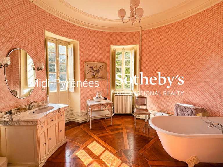 Château Salies-du-Salat - 11 chambres - 515m²