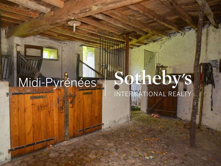 Château Salies-du-Salat - 11 chambres - 515m²