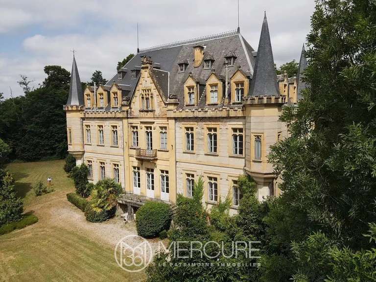 Château Salies-du-Salat - 13 chambres - 800m²