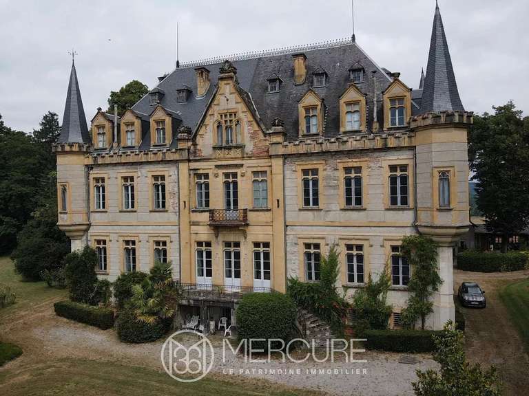 Château Salies-du-Salat - 13 chambres - 800m²