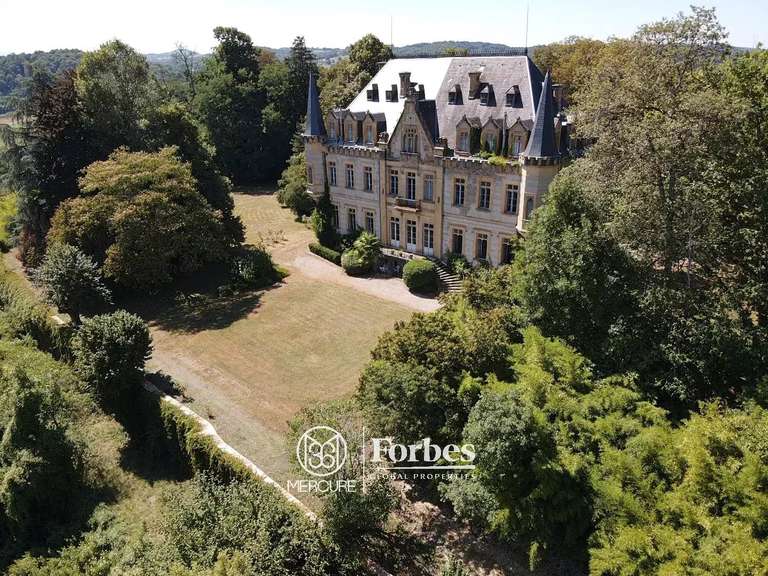 Château Salies-du-Salat - 13 chambres - 800m²