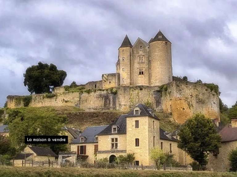 House Salignac-Eyvigues - 4 bedrooms
