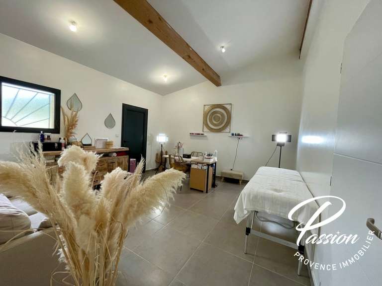 Maison Salon-de-Provence - 8 chambres - 264m²