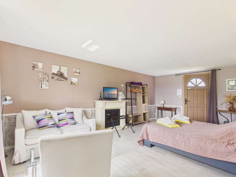 Maison Salvagnac-Cajarc - 7 chambres - 323m²