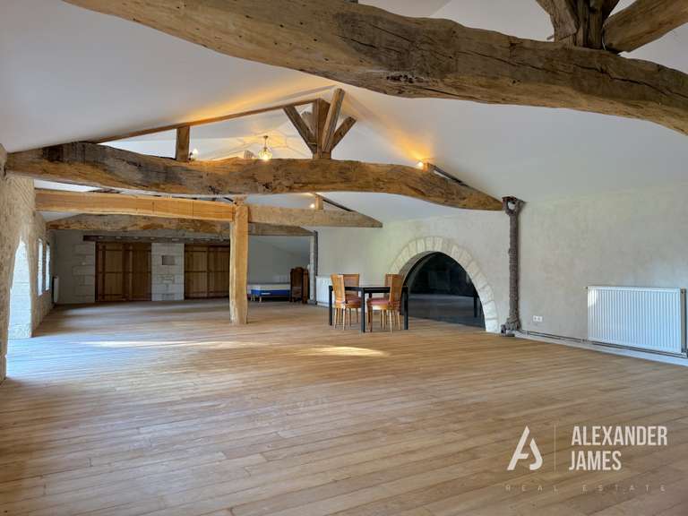 Château Samazan - 8 chambres - 786m²