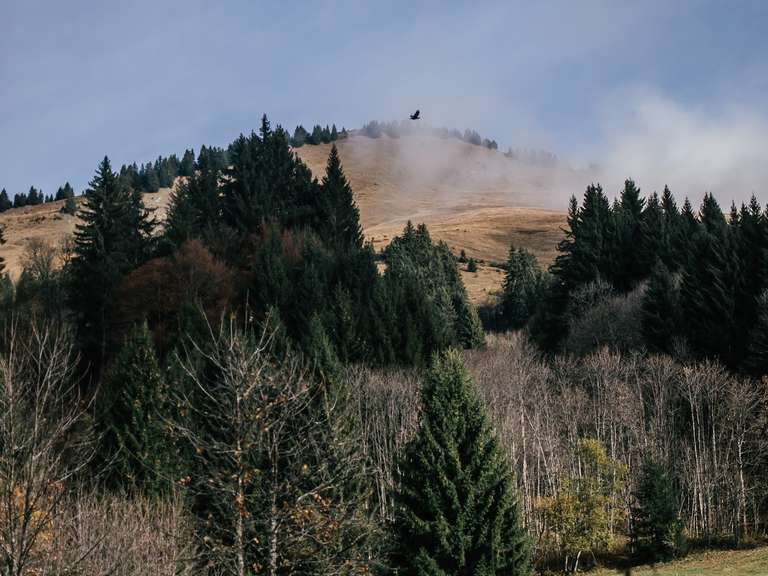 House Samoëns - 3 bedrooms - 120m²
