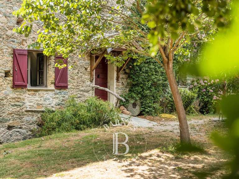 Moulin San-Gavino-di-Tenda - 5 chambres - 235m²