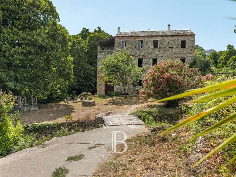 Moulin San-Gavino-di-Tenda - 5 chambres - 235m²