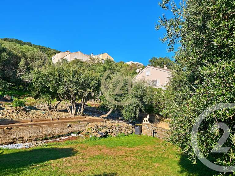 Maison San-Martino-di-Lota - 4 chambres - 280m²