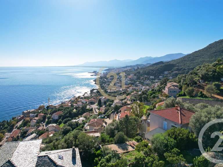 Maison San-Martino-di-Lota - 4 chambres - 280m²