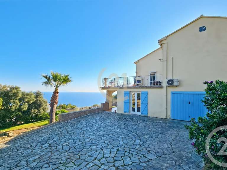 Maison San-Martino-di-Lota - 4 chambres - 280m²