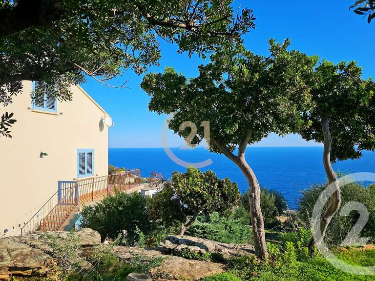 Maison San-Martino-di-Lota - 4 chambres - 280m²