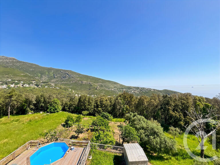 House San-Martino-di-Lota - 4 bedrooms - 10m²
