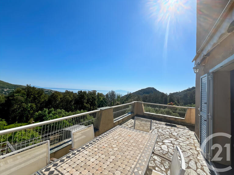 House San-Martino-di-Lota - 4 bedrooms - 10m²
