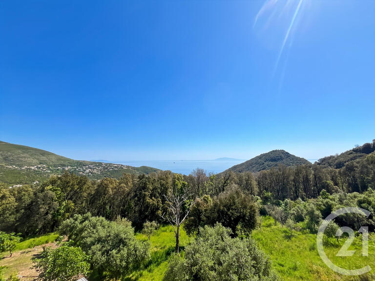 House San-Martino-di-Lota - 4 bedrooms - 10m²
