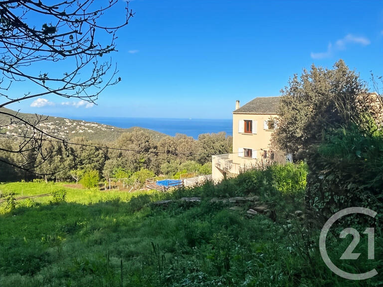 House San-Martino-di-Lota - 4 bedrooms - 10m²