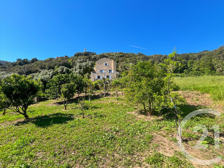 House San-Martino-di-Lota - 4 bedrooms - 10m²