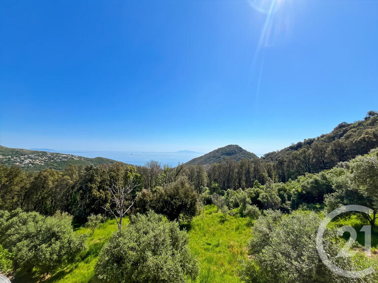 House San-Martino-di-Lota - 4 bedrooms - 10m²