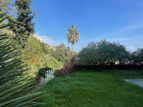 House San-Martino-di-Lota - 185m²